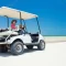 best golf cart rentals Anna Maria Island