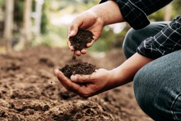 Liquid Soil Enhancer